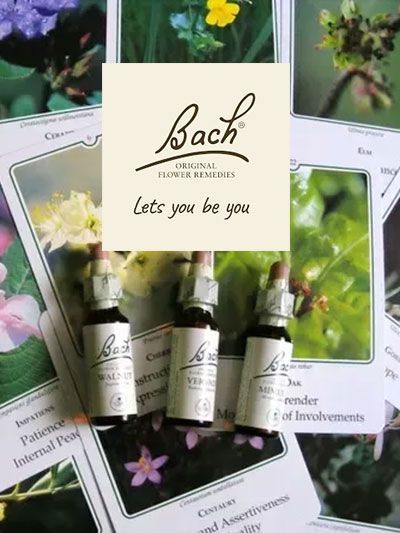 bach-flower-essence-worksop-sunshine-coast